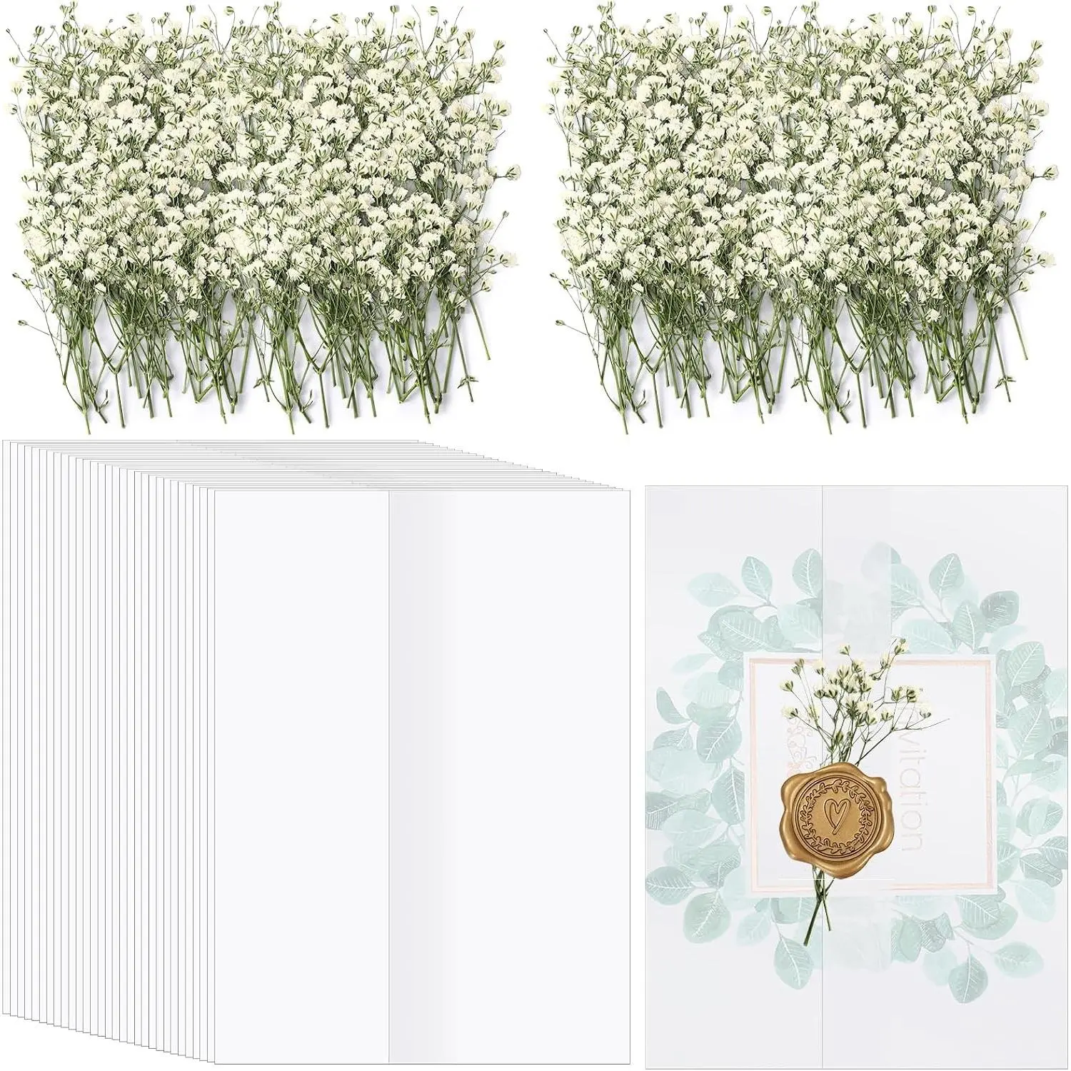 50 Pcs Wedding Invitations Wraps Set Pre Folded Vellum Jackets for 5 x 7 Invitations with 100 Pcs Natural Dried Pressed Flowers for Wedding Birthday Party Supplies Craft DIY