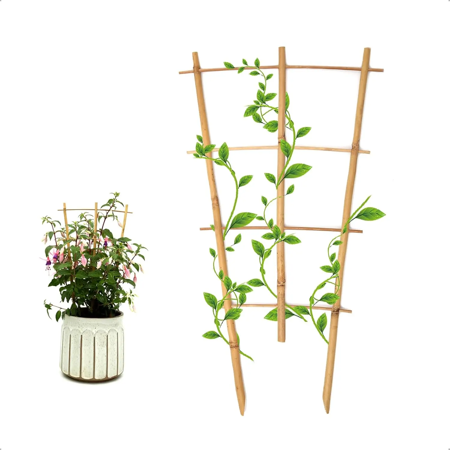 3Pack  Trellis 16 Inch Fan Shaped Small  Trellis for Indoor Potted  Climbing Monstera Orchid Vine Hoya Houseplant