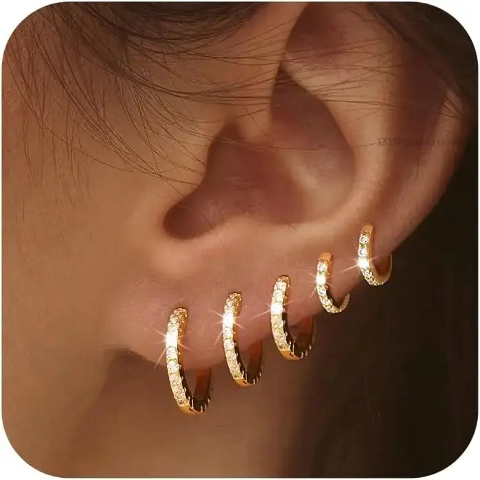 5 Pairs Hoop Earring Sets for Women Earring Stack Small Earrings for Women Hypoallergenic Trendy Waterproof Multiple Cartilage Earring for Women Best Gift For Mother' s DayXX15ForgeFitness