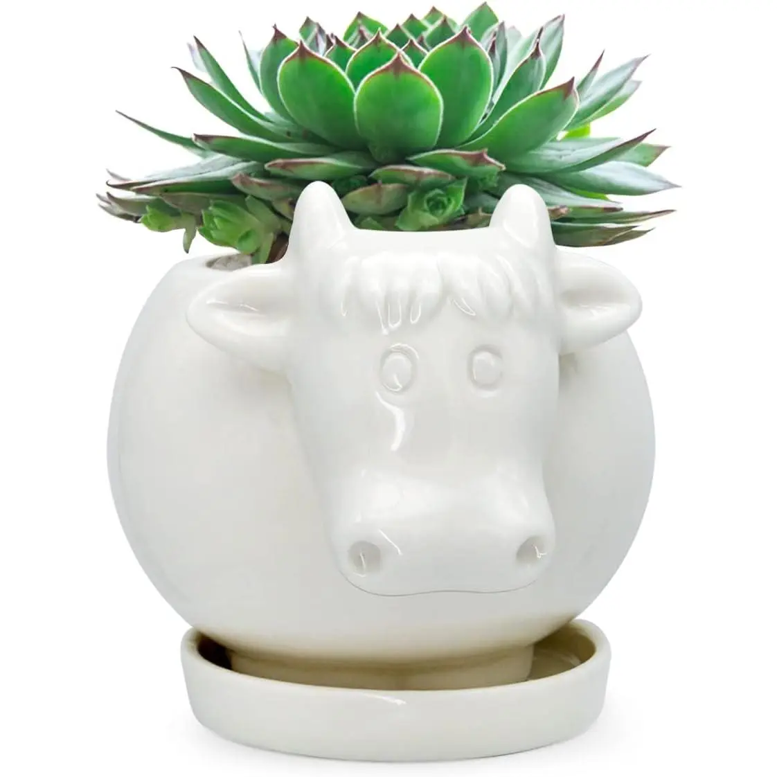 White Cow Succulent Pot, Small Ceramic  Planter with Drainage Hole &  for Cactus, Mini Air , Pencil Holder Brush Organizer, Indoor  Office Desk Decor, Funny