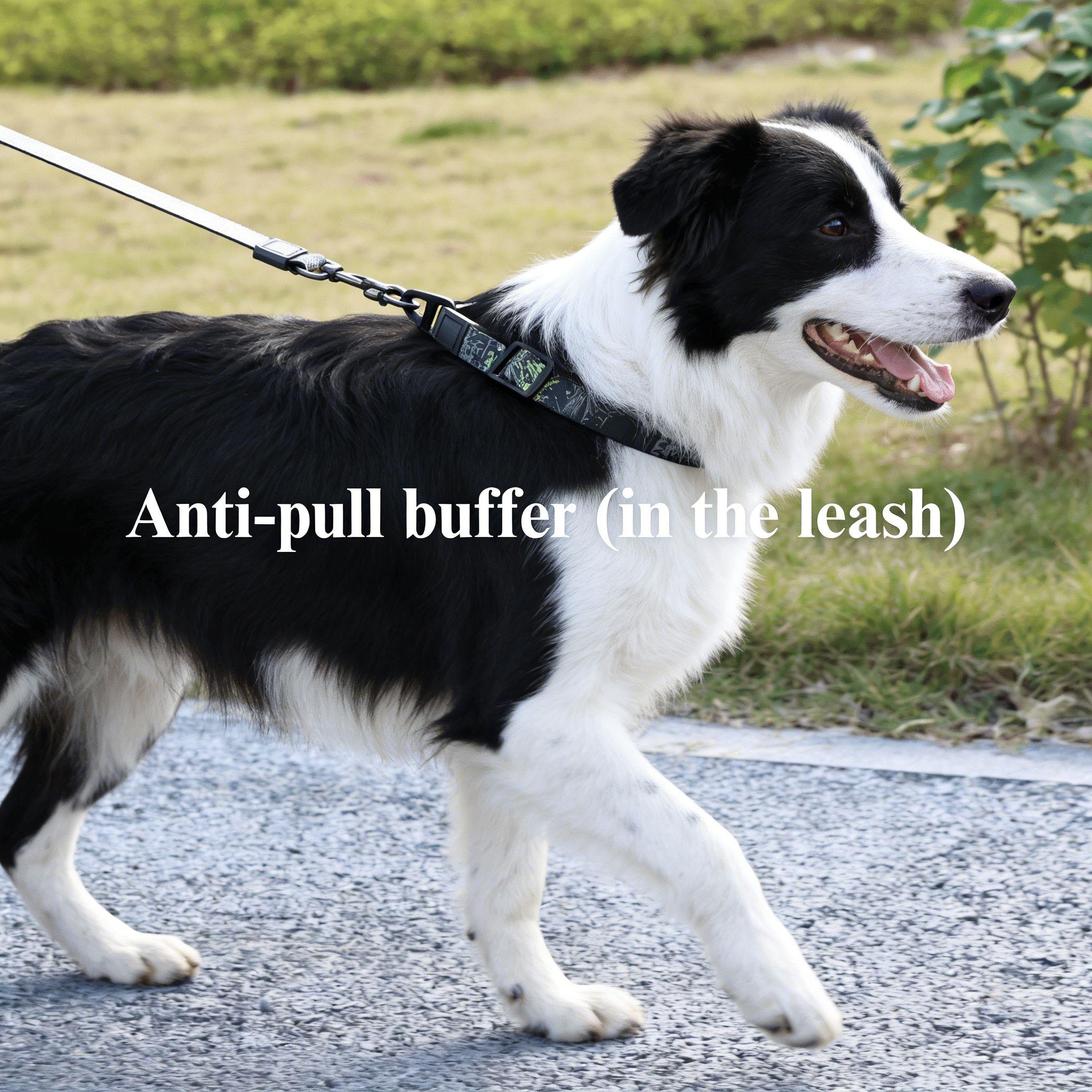 Waterproof PVC Dog Collar and Leash Set - Durable Accessory for Small to Large Breeds Ideal for Outdoor Adventures with Secure Buckle and Comfortable Fit freedom harness