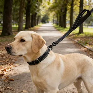 2026 New Pet Long Dog Leash with Dual Handles and Reflective Design, Adjustable for Small, Medium, and Large Dogs, Suitable for Walking, Training, and Exercise