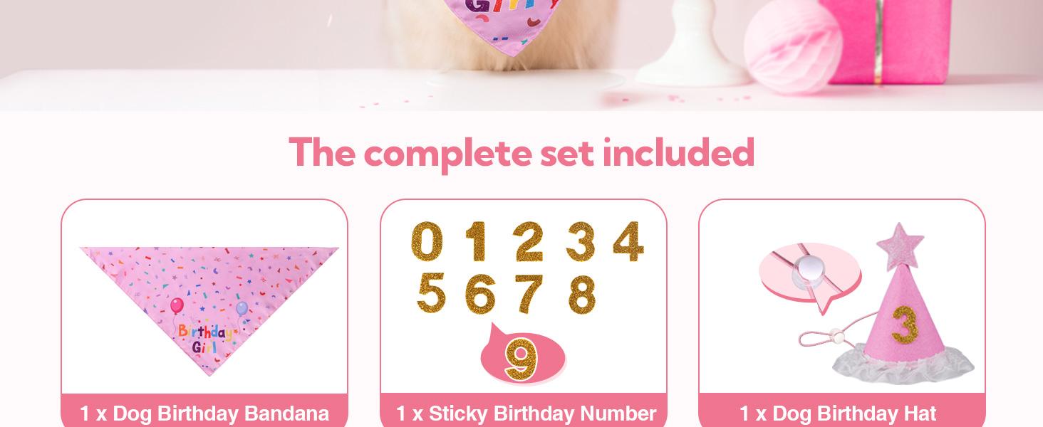 Dog Birthday Decorations, Dog Birthday Hat with Numbers for Large Medium Small,Pet Supplies (Pink)