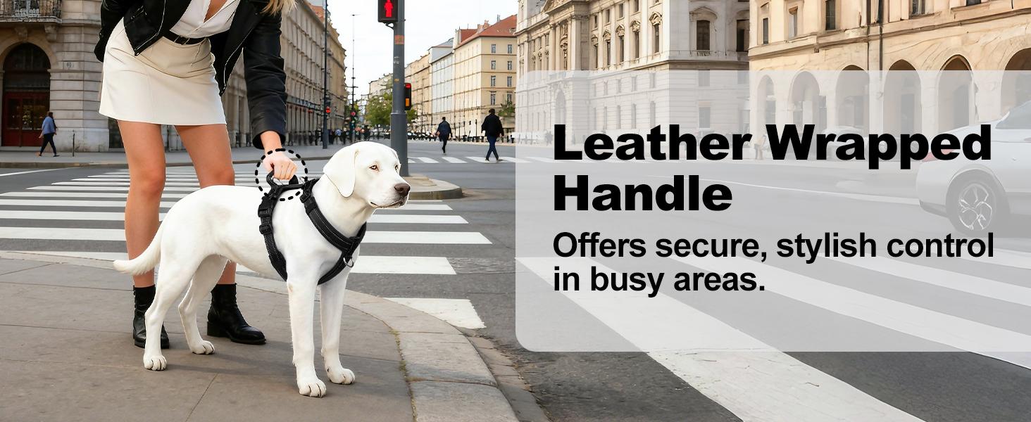 No Pull Dog Harness with Handle, Soft Mesh Padded Adjustable for Small Medium Large Dogs| Reflective Easy Walk Harness with Front Clip for Training, Running & Outdoor (Black, L)