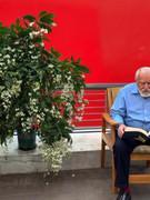 150 PCS Jasmine Seeds Bridal Veil High Germination Rate Nodding Clerodendron Easy to Grow Long Lasting Aroma for Home Garden Fragrant Blooms Rare Cascading Jasmine Perfect for Balconies & Indoor Pots