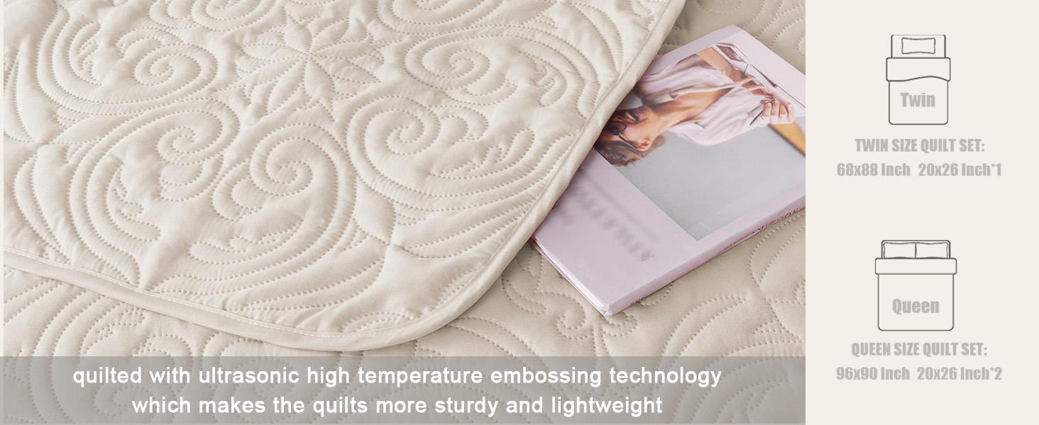 Queen Size Bedding Set with 2 Pillow Shams, Lightweight Taupe Full Queen Bedspread with Vintage Damask Pattern, Soft Bedspreads Coverlets for All