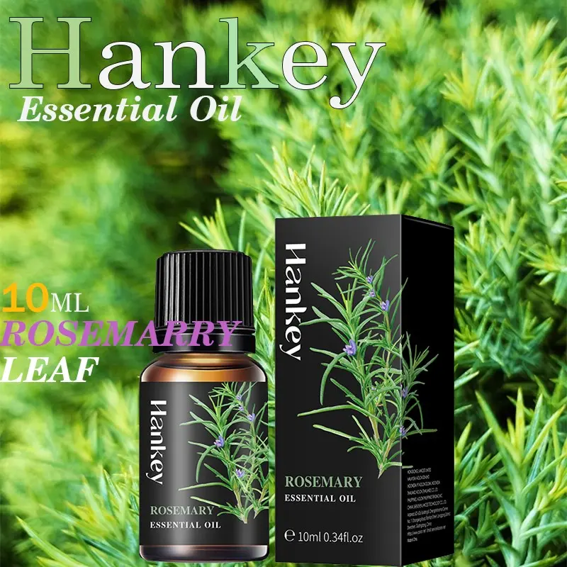 10ML Rosemary Scented Massage Essential Oil, Relieves Fatigue, Liquid Form, Non-Flammable, Ideal for Massage Therapy