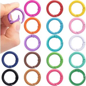 Spring O Rings, Round Spring Snap Keyring, Metal Lanyard Clips for Keychain Handbag Purse Dog Chain