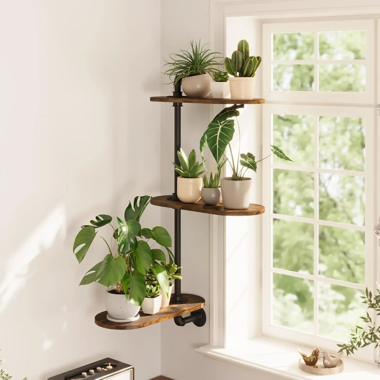 Window  Shelves 3-Tier Rotating  Stand Industrial Window  Shelf  Wall Mount Decorative  Indoor  Light Exposure  Idea for  Lovers