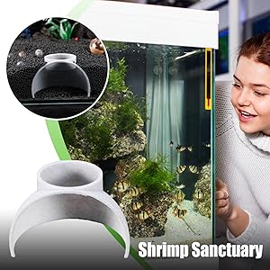 Aquarium Underground Tunnel Cave - Fish & Shrimp Hideouts for Aquariums, Reptile Hide, for Aquatic Pets to Breed, Play and Rest, Fish Tank Decoration, for Fishs, Shrimp, Reptiles, Amphibians, & More!