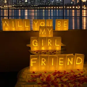 Will You Be My Girlfriend Sign - Light Up Proposal Letters with Roses, Romantic Decorations for Special Night, Valentine's Day Birthday Celebrations