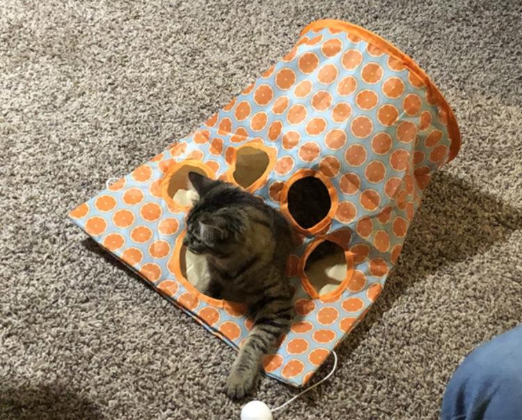 Cat Crinkle Tunnel & Burrow Bag - 3-Way Interactive Play Tube with Sound Paper - Foldable Hideaway Toy for Indoor Cats - Durable Chasing & Exercise Toy for Kittens silicone feeder shaped harness retractable leashes jumping