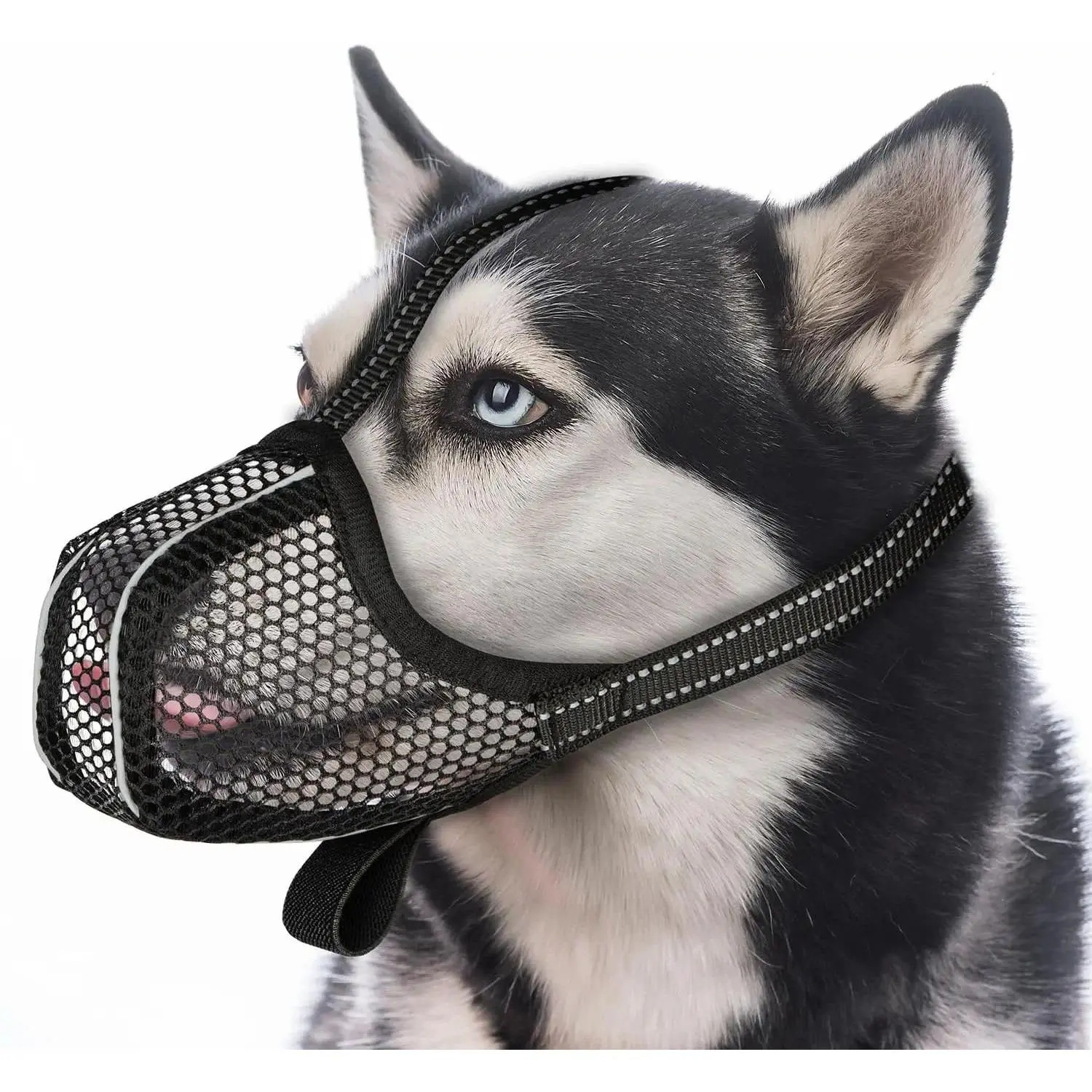 Soft Resin Basket Dog Muzzle, Multi-Size Bite Guard for Small/Medium/Large Breeds, Full-Coverage Fiber Mesh with Adjustable Reflective Strap, Anti-Biting Licking Chewing Daily Training Aid