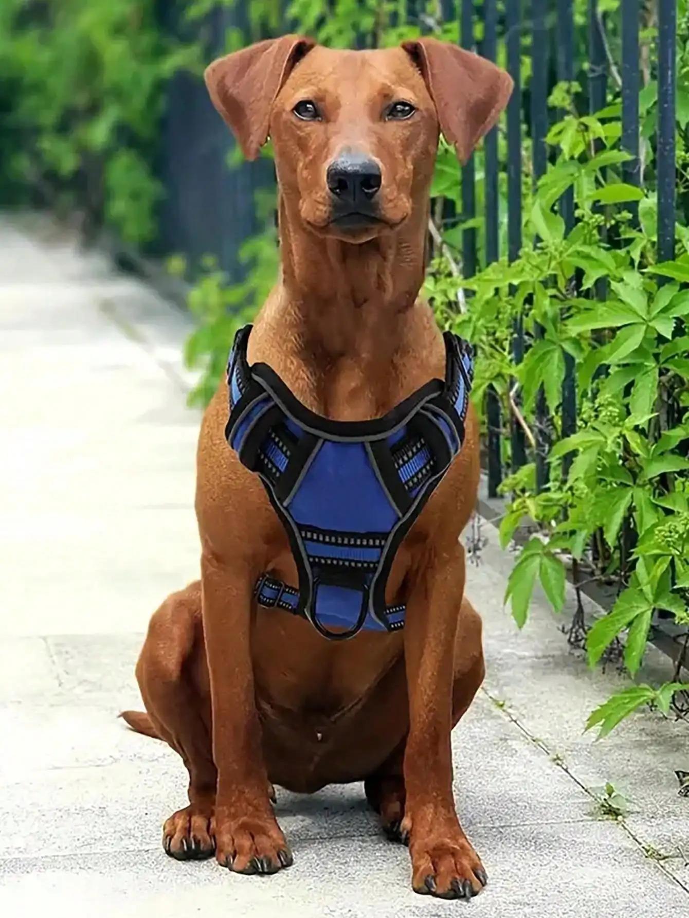 US LOCAL STOCK No Pull Tactical Service Dog Harness Leash Set Car Seatbelt Folding Bowl Degradable Garbage Bags for Dogs