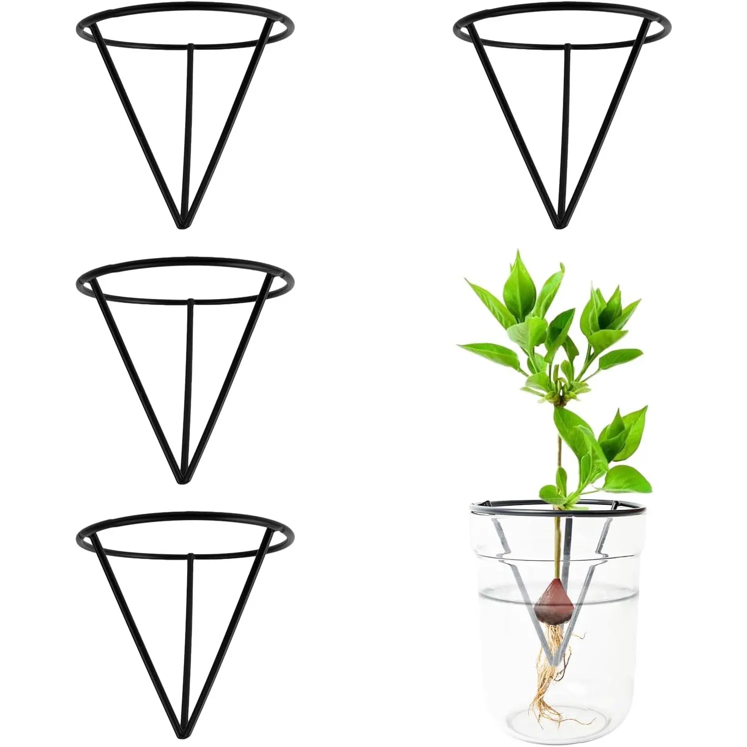 4 count Avocado Seed Starter Rack Gardening Enthusiasts | Triangle Avocado Seed Sprout Starter Growing Kit for Vase Avocado Seed Holder Bracket Propagation Gifts for Christmas