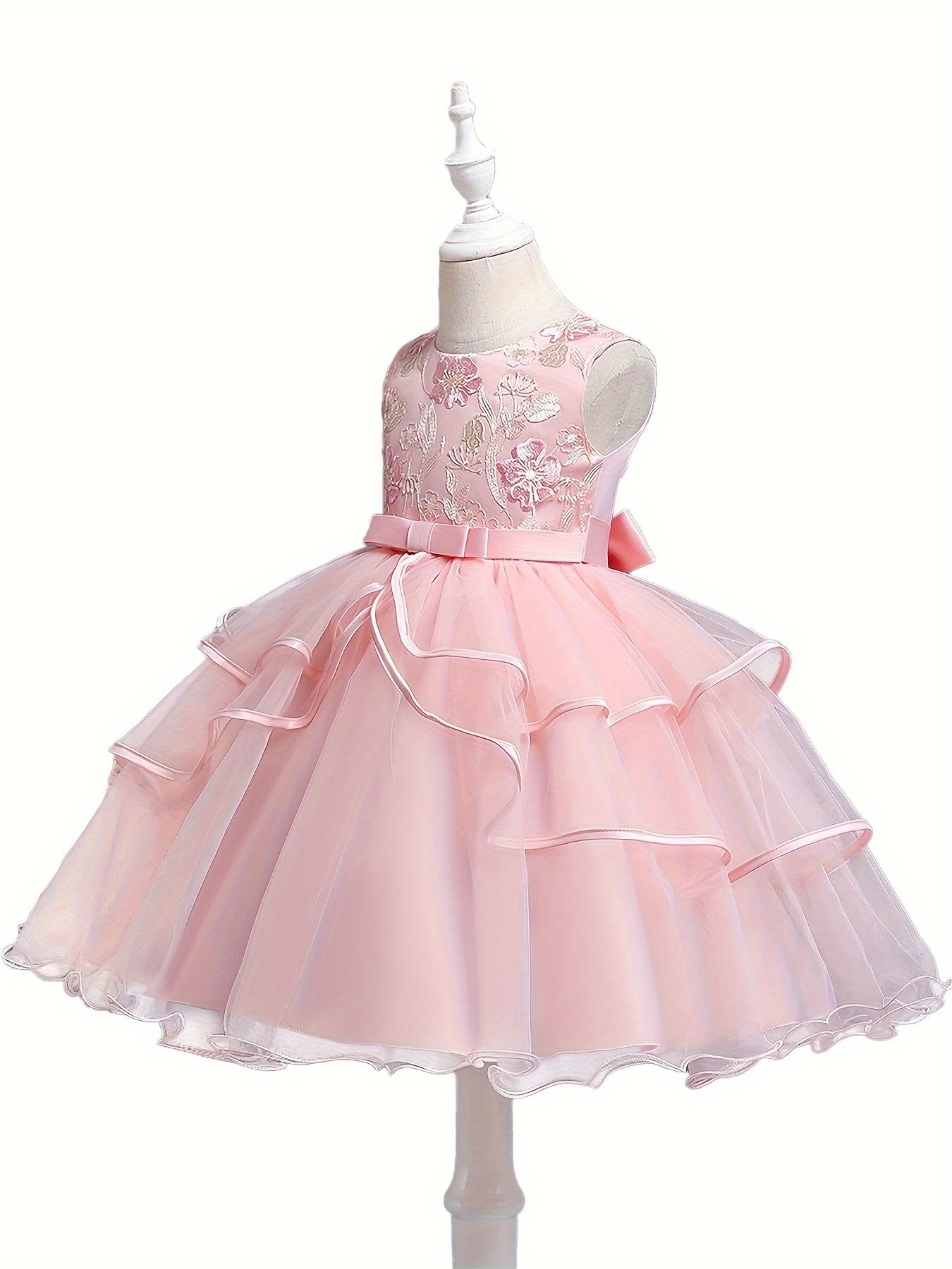 Formal Occasions Girls Mesh Embroidered Puffy A-line Princess Dress Birthday Evening Party Wedding Flower Girls Party Dress Gifts  Gifts