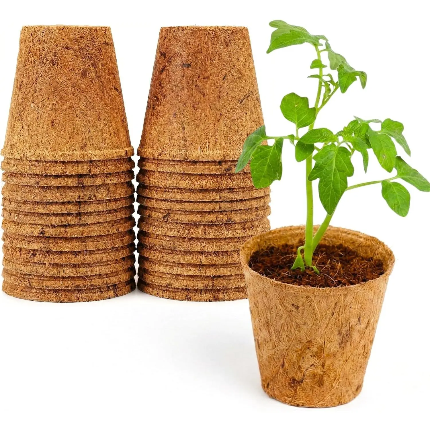 3.25 Inch Coconut Coir Biodegradable Pots – 22 Pack, Plantable Seed Starter Pots, Peat-Free, Sustainable Growing Containers