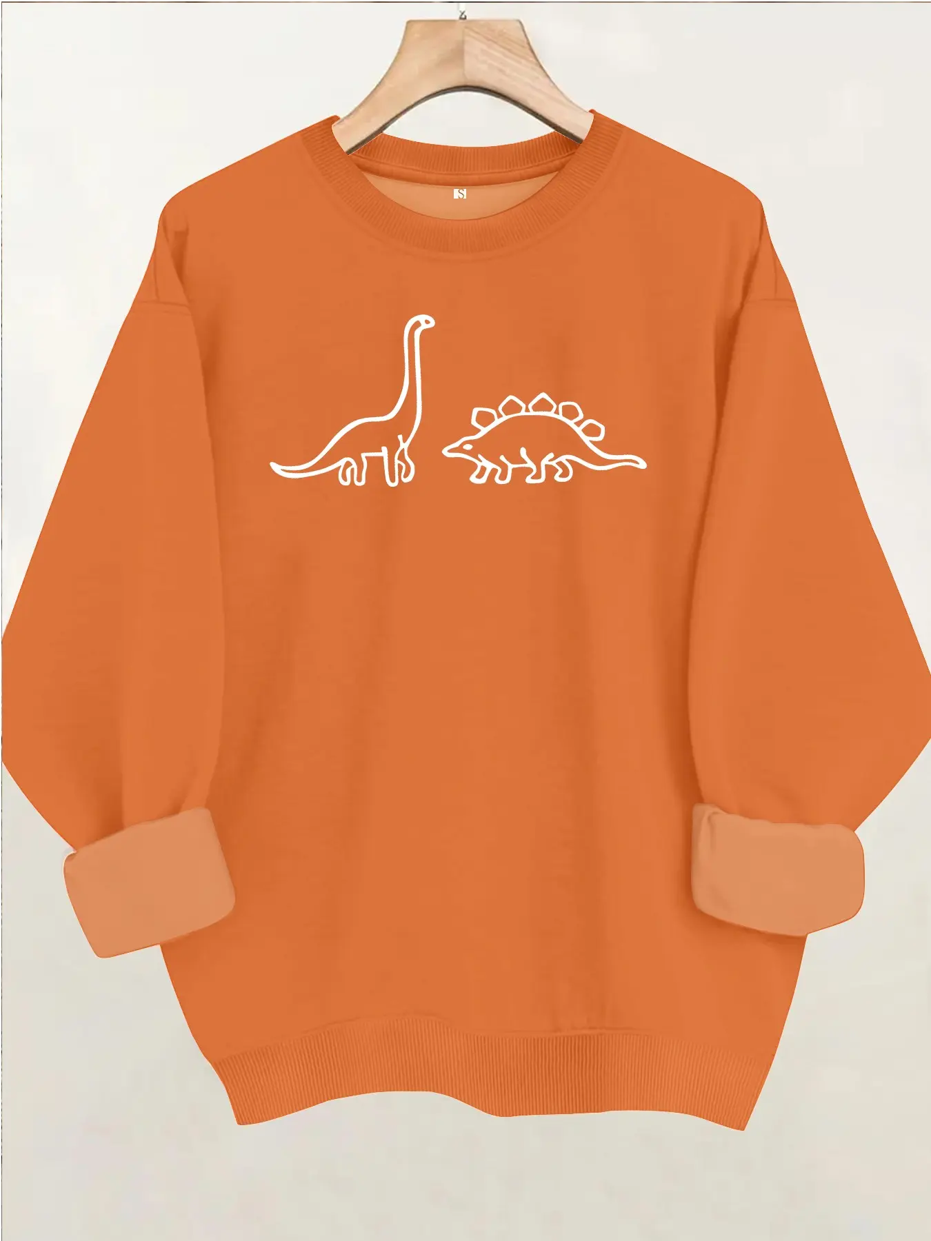 Women's Casual Fleece Sweatshirt, Cartoon Dinosaur Print, Round Neck, Long Sleeve, Comfortable and Stylish