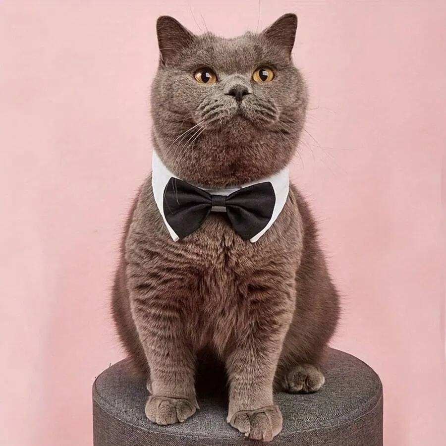 1pc Adjustable Pet Dog Cat Collar Bowtie, Small Dog Tie Bow Tie Decor, Suitable For Small Pets, For Holiday & Wedding