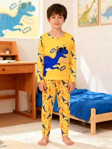 boys 2-piece long sleeve pajama set with fun dinosaur print, cozy autumn homewear for kids, adorable sleepwear for boys