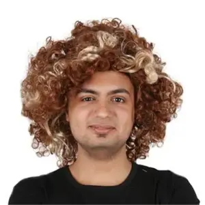 Direct sales from the manufacturer: Unisex alternative explosive short curly hair carnival fan wigs, custom wholesale