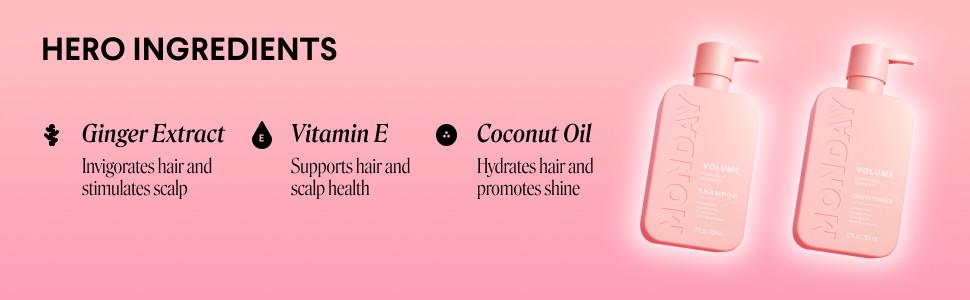Volume Shampoo + Conditioner Set (2 Count) 12 oz. For Thin, Fine, and Oily Hair Made with Coconut Oil, Ginger Extract, and Vitamin E 100% Recyclable Bottle