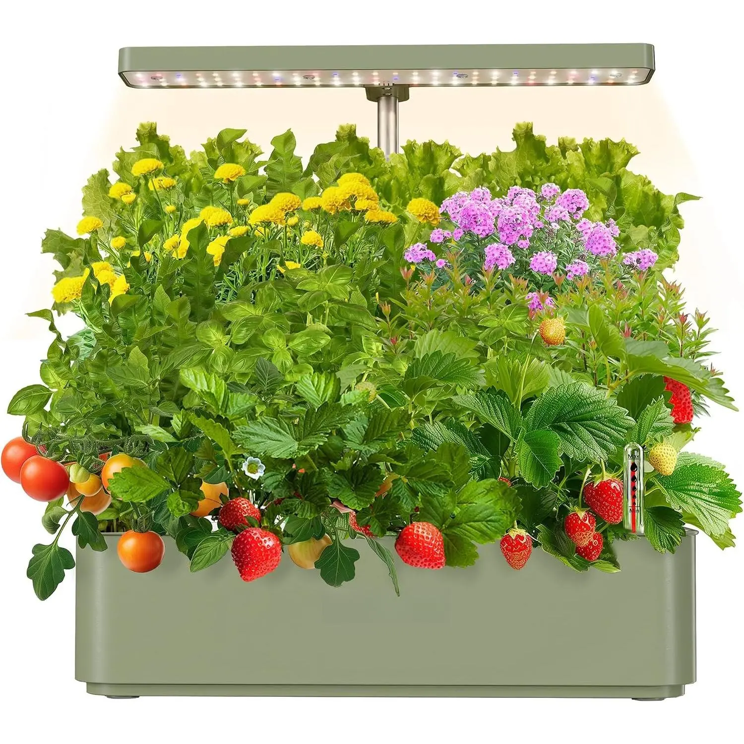 Hydroponics Growing System, Compact 12 Pods Indoor Garden, Green | 24W LED Dimmable Grow Light, 4L Water  with Quiet Pump, Adjustable Height  Garden Planter Indoor Kit, Gardening Gifts