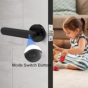 Door Knob Lock, Door Lock with Code Handle, Biometric Security Locking Door Lever Locks for Bedroom Indoor Room - Black