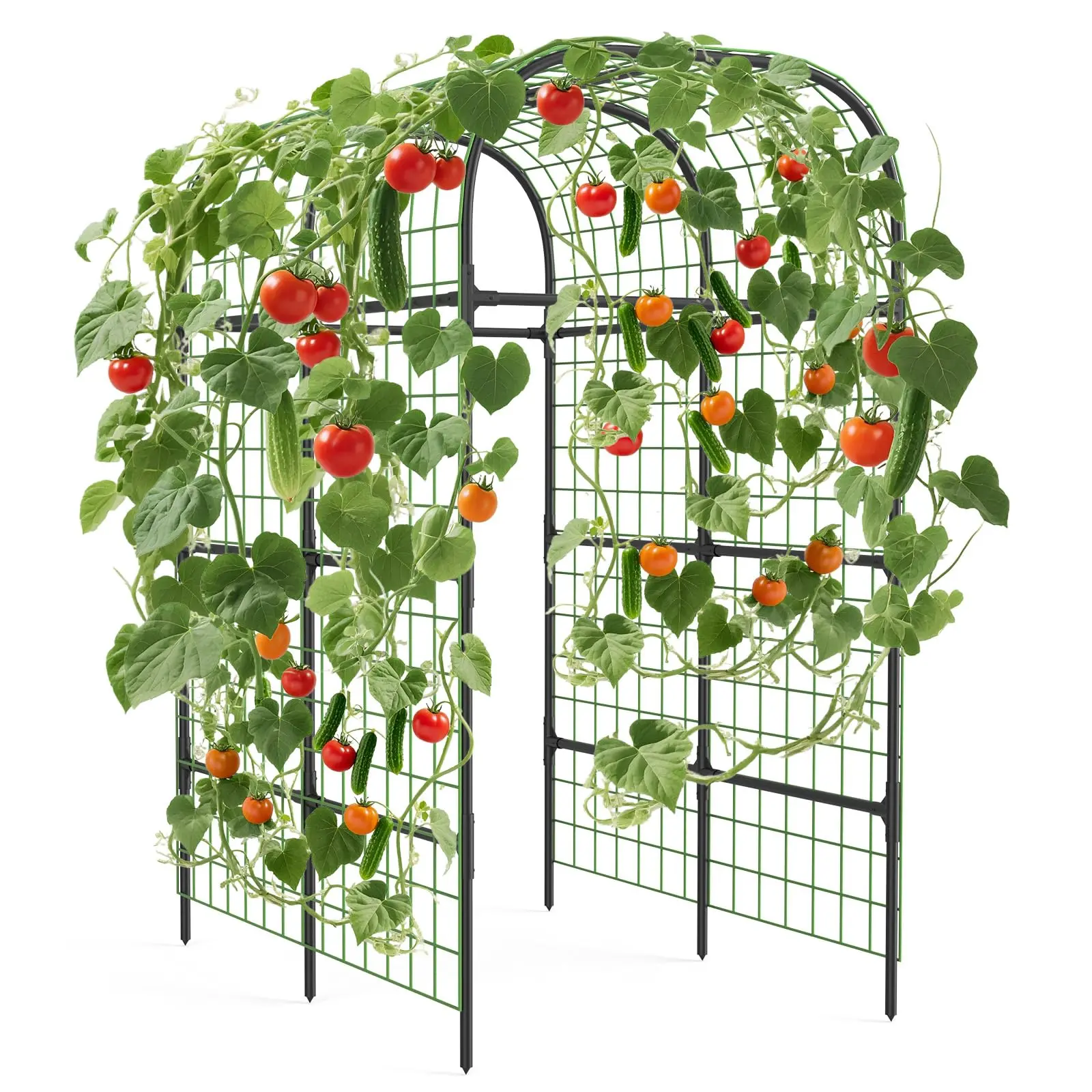 Extra Tall Metal Garden Arch Trellis for Climbing Plants – Sturdy Polyethylene-Coated Stainless Steel Support – Ideal for Vegetables, Flowers, Cucumbers – Outdoor Pergola Arbor for Raised Beds, Weddings, Garden Decor