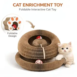 Magic Organ Cat Scratch Board - 2PCS Kitty Curls Toy for Engaging Playtime and Stress Relief