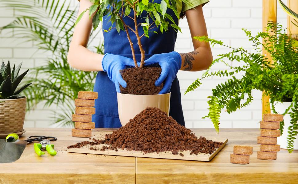 60pcs 40mm Compressed Coco Coir Fiber Potting Soil - Expanding Organic Coco Coir Pellet Fiber Soil, Peat Soil Pellets Seeds Starting Plugs for Planting (60, 1.57Inch)