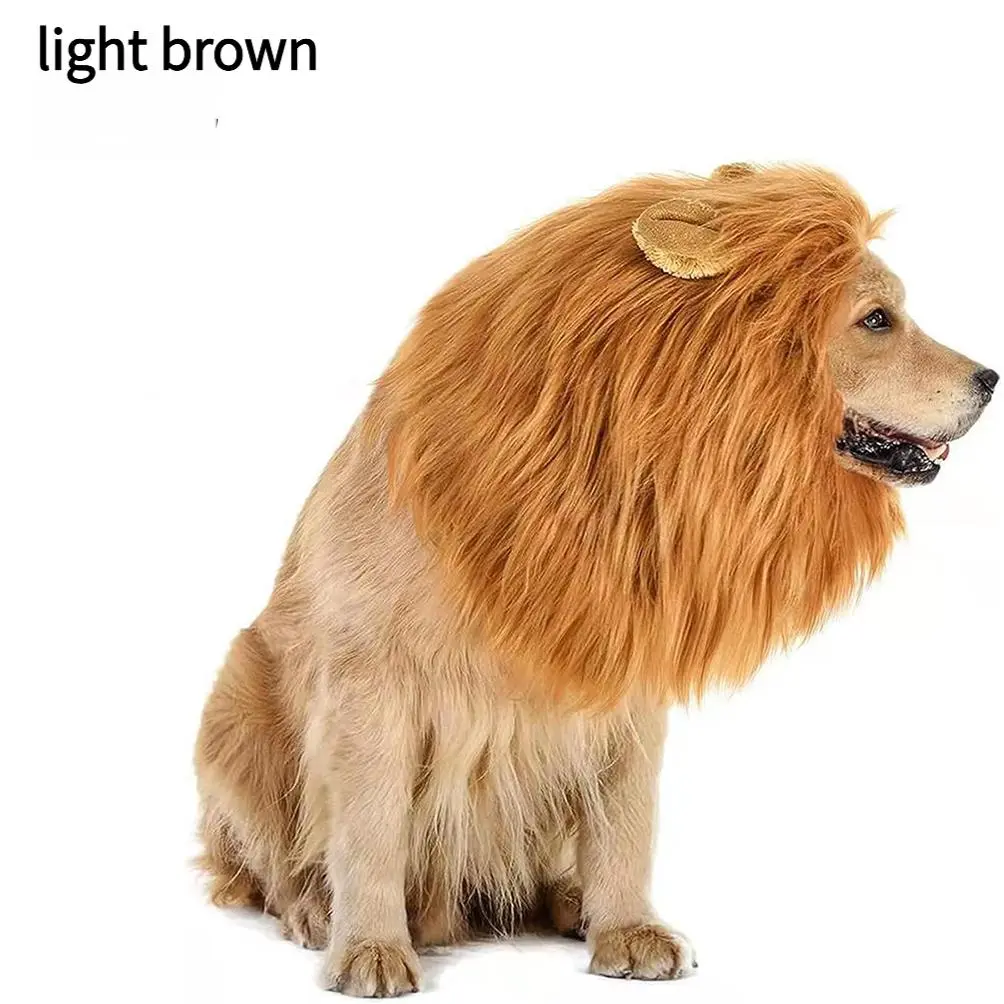 Pet transformation into a funny dog with ears, lion wig, hat, pet lion headgear