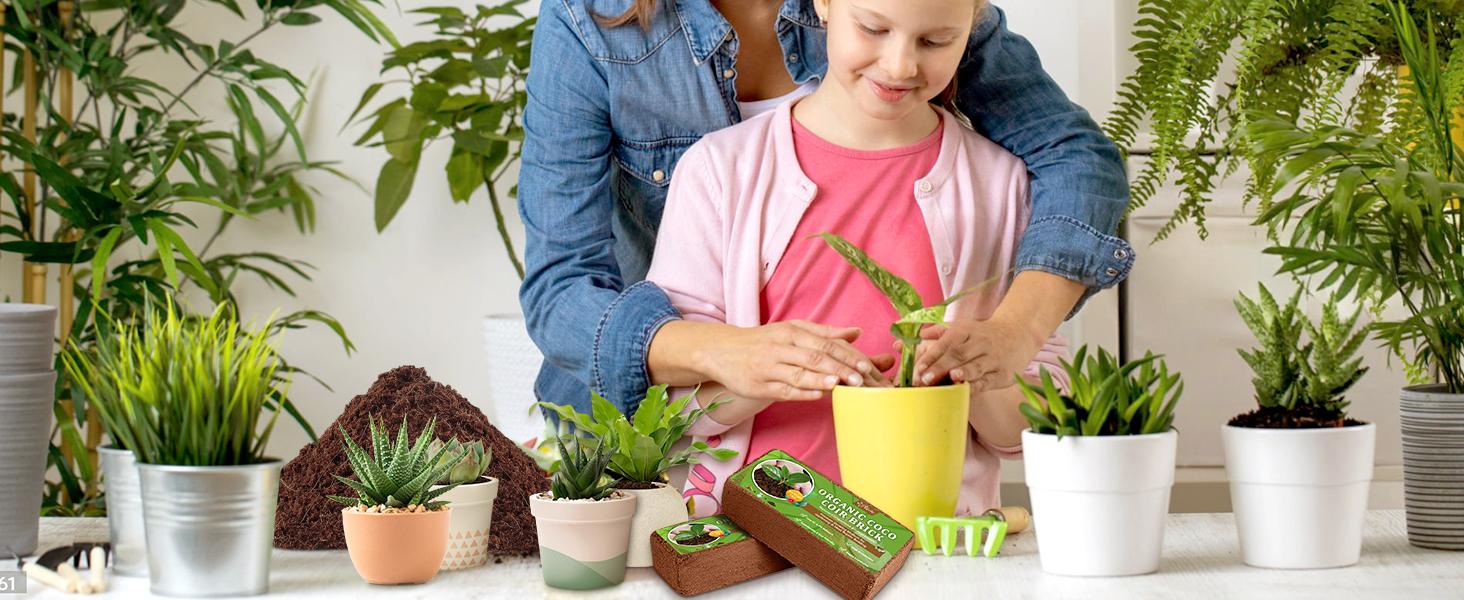 6pcs Organic Coco Coir Bricks Soil Blocks- 100% Natural Compressed Coco Peat Brick Fiber Substrate with Low EC& pH, High Expansion Coco Coir Pith Husk for