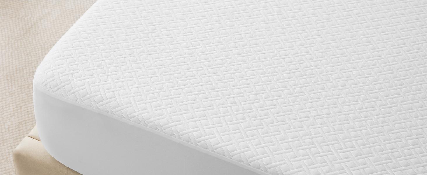 Queen Size Waterproof Mattress Protector Viscose Derived from Bamboo, Soft Mattress Cover Fitted with Deep 8"-21", Breathable Noiseless Mattress Pad, Machine Washable (White)