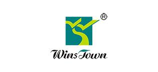 Wins Town Hair Growth Tea for Healthy Follicle Regrowth 30 Tea Bags Haircare Supplement Biotin Cleansing Solution 5g*30 Bags Pack 150g HACCP HALAL ISO 22000 Certified