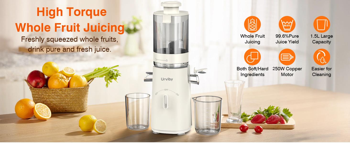 Cold Press Juicer, 2-in-1 Juicer Machines for Juice & Sorbet, with 5-Inch Wide Chute, High-Yield juice extractor for Fruits & Vegetables/High Nutrients/Reverse Mode/Easy to Clean