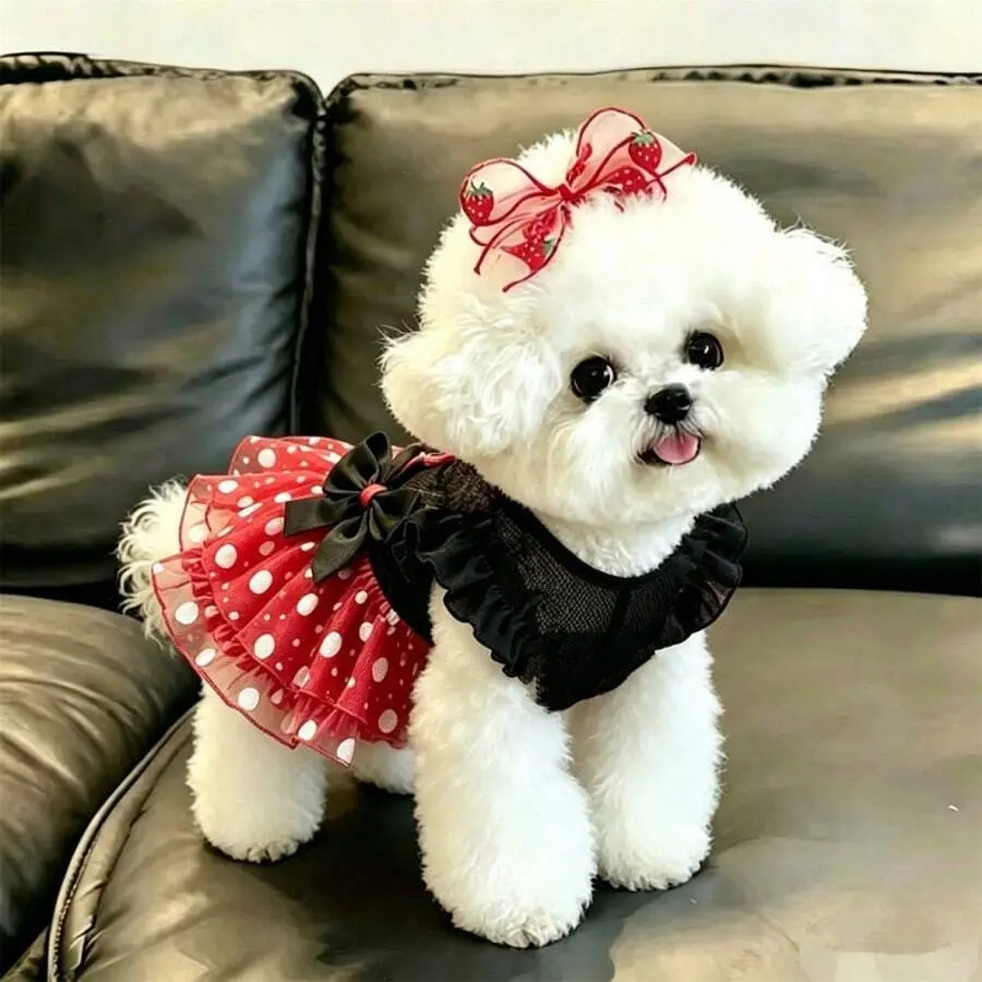 1pc Pet Supplies, Pet Clothing, Pet Dress, Pet Vest, Happy Puppy, Clothes, Dog Clothes, Cat Clothes, Cat Clothing, Cat Dress, Princess Dress, Chihuahua Dog Clothes, Small Dog Dress, Chihuahua Dress, Puppy Cat Princess Outfit, Pet Products Kitten Puppy Clo