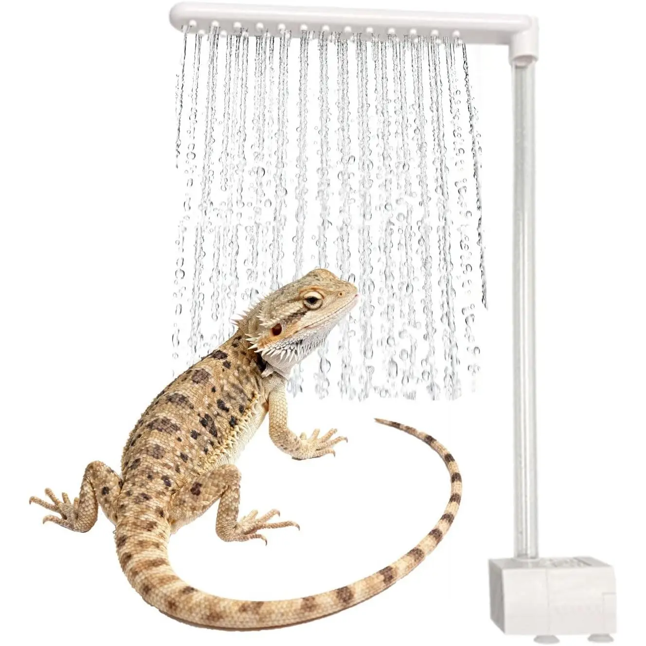 Accessories for Bearded Dragon Pool,Bearded Dragon Fountain & Bathing Accessories, – Gentle Water Flow, Low-Noise Pump, Versatile for Reptile Tanks.