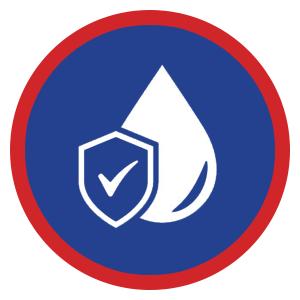 BMW License Plate Screws with Antitheft Design - Rustproof Security License Plate Screw Kit for Fastening Rear Plates - Black Stainless Steel Mounting Bolts (M5-0.8 X 8mm)