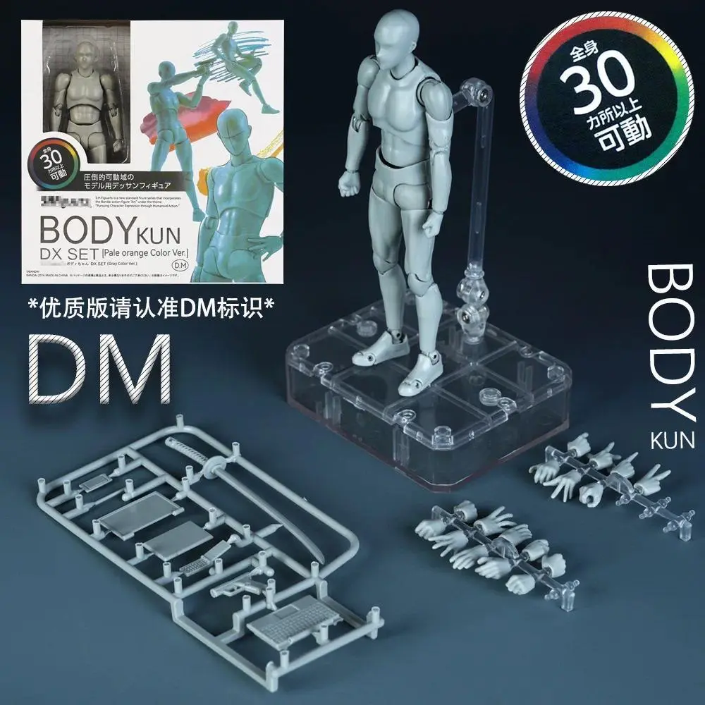 Sketch Draw Male Female Movable Body Kun Body Chan Joint Pain Anime Figure Shf Action Figure Toy Model Draw Mannequin