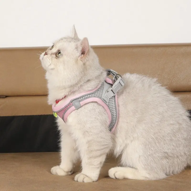 Adjustable Escape-Proof Cat Harness & Leash Set, Special Anti-Slip Walking Rope for Outdoor Cats