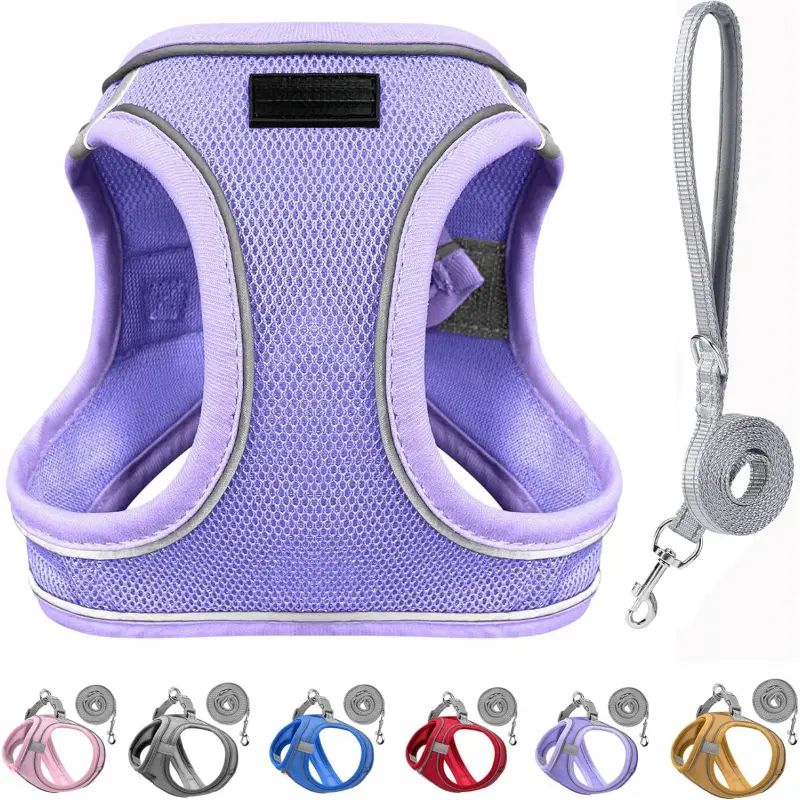 Sparkly XXXS Dog Harness and Leash Set, Step in Soft Light Puppy Vest, Breathable Reflective Pet Harness for Walking, Puppy Harness for Small Dogs Cats (Purple, XXXS)