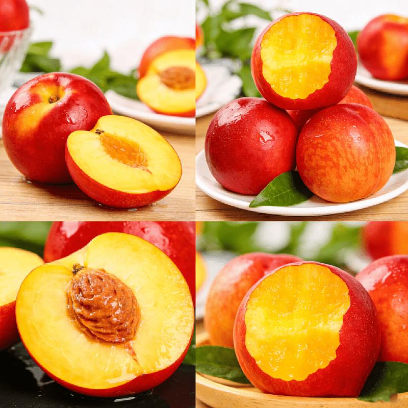 Live seedlings of Honggang peach tree, a compact fruit tree suitable for small spaces, a hardy variety that produces juicy peaches for families to enjoy