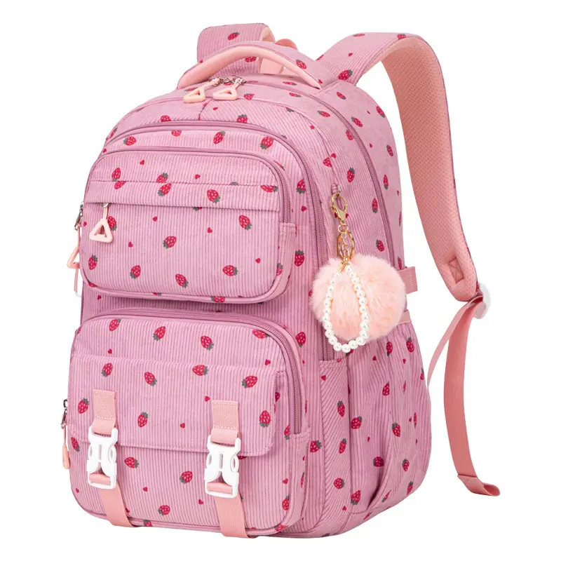 Stylish Waterproof Student Backpack, Durable Multi-pocket Large Capacity Bookbag, Casual Lightweight Daily Backpack for Teen Girls Middle High School