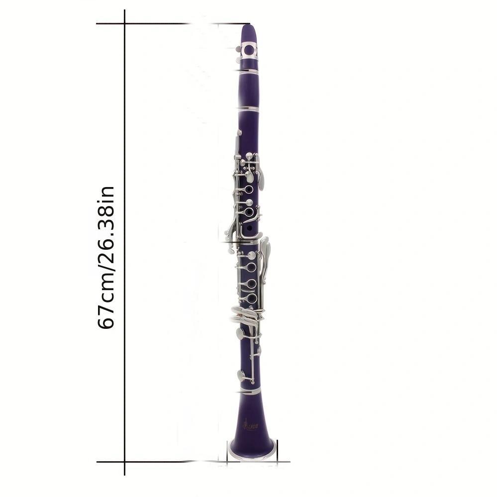Bb Clarinet, 17 Key Clarinet with Accessories, Woodwind Instrument for Beginners, Musical Instrument for Students, Gift for Music Lovers
