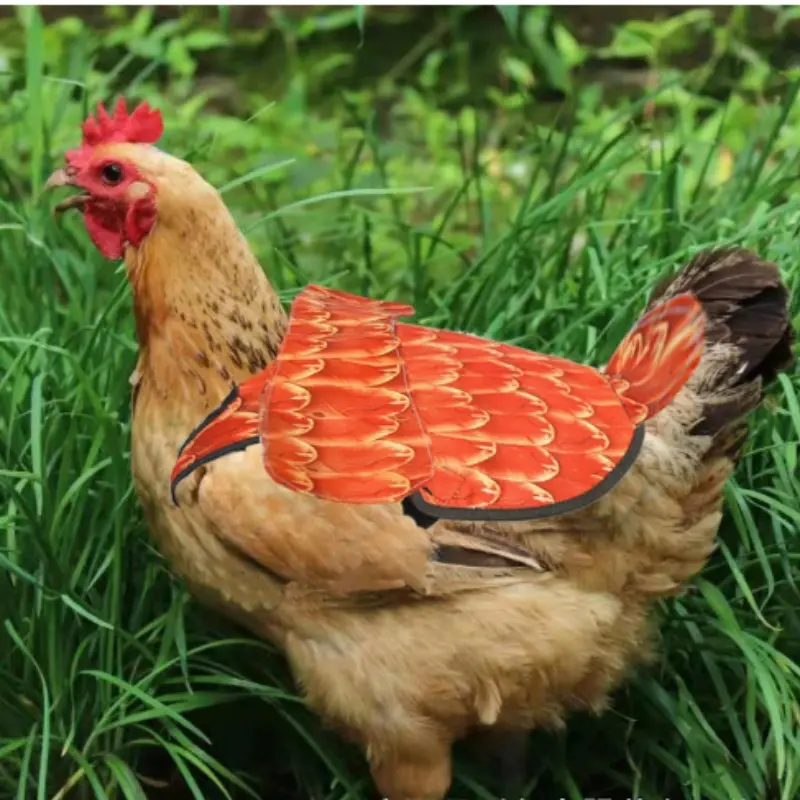 1pcs Waterproof Over Wing Chicken Saddle Durable Hen Back Protector Anti Feather Loss Poultry Supplies for Backyard Coop