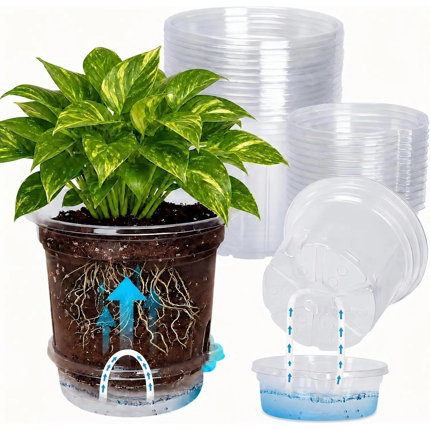 Bulk Pack 12-Pack 5-Inch Self-Watering Indoor Plant Pots - Transparent Plastic, Wicking Rope, Drainage Holes, Deep Reservoirs, Root & Water-Level Visibility, Up to 7-Day Supply