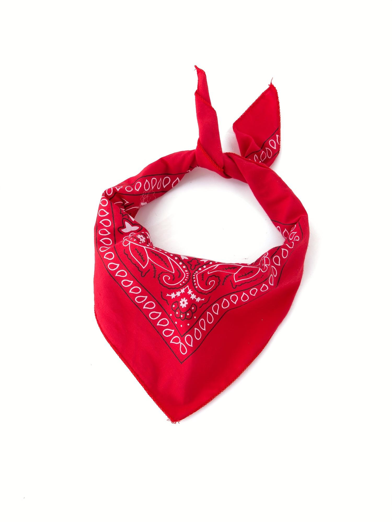 Boys' Western Cowboy Costume Set (Includes Vest, Pants, Scarf, Hat), Suitable for Activities