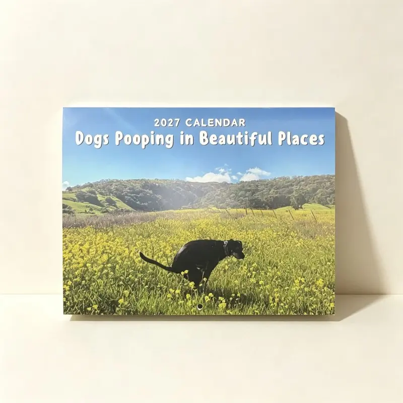 2027 Funny Dog Poop Calendar, Fun Monthly Hanging Calendar, Holiday Markers, Unique Gift for Dog Lovers, Home Office Wall Decor