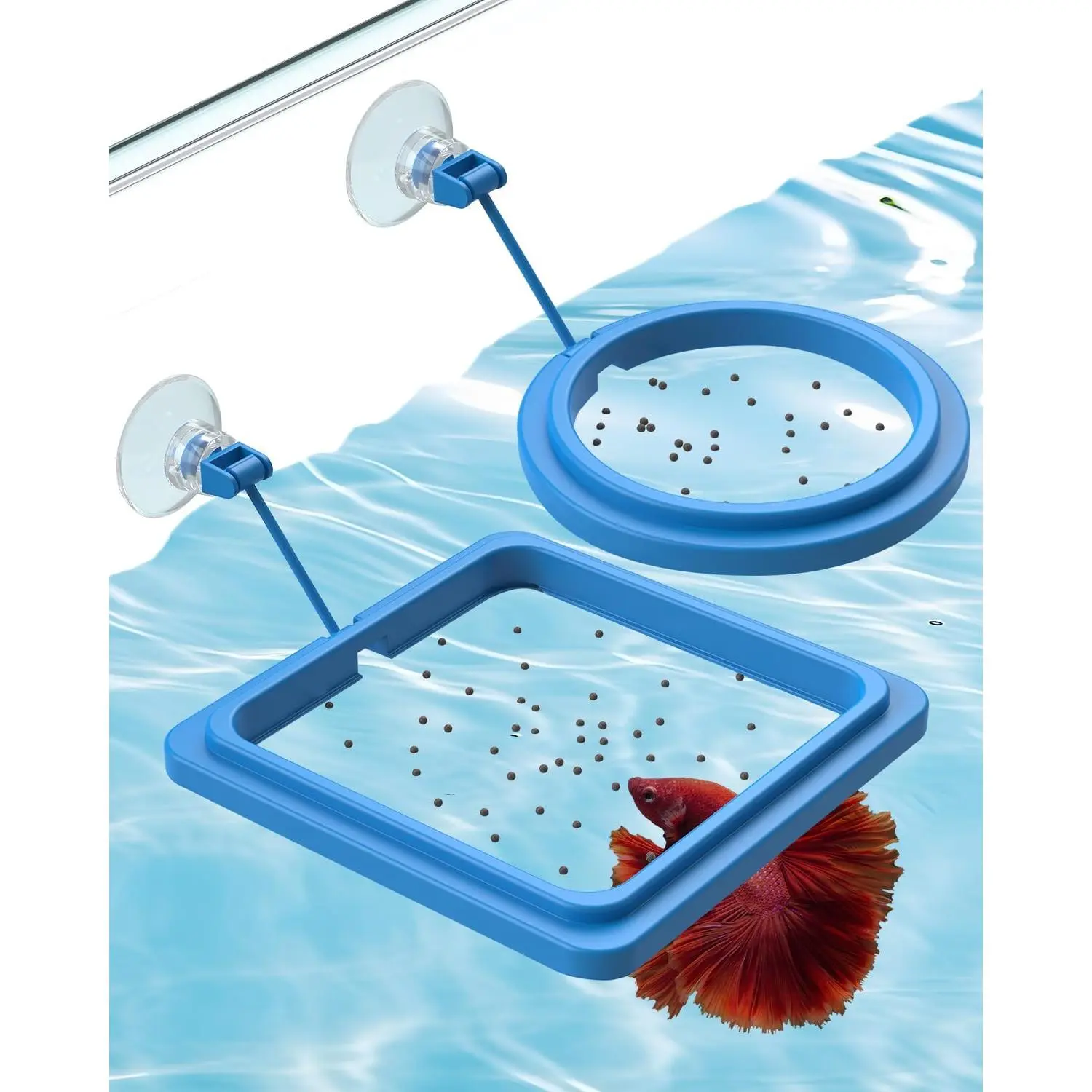 2 Pcs Fish Feeding Ring for Aquarium – Round and Square Floating Food Feeder with Suction Cup for Betta, Goldfish, Guppy, Turtle & Small Fish